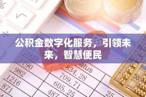沿河公积金数字化服务，引领未来，智慧便民