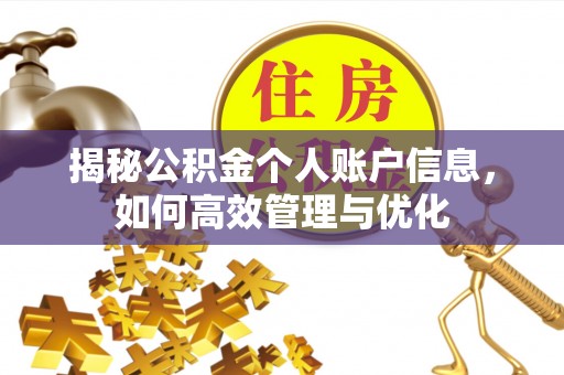 沿河揭秘公积金个人账户信息，如何高效管理与优化