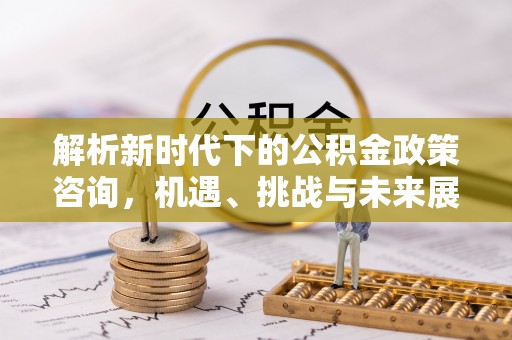 沿河解析新时代下的公积金政策咨询，机遇、挑战与未来展望