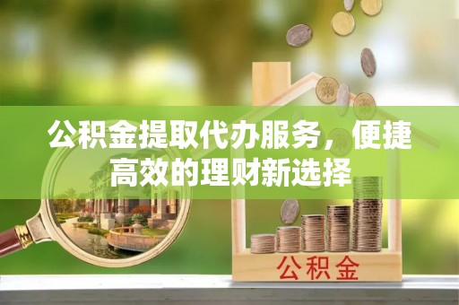 沿河公积金提取代办服务，便捷高效的理财新选择