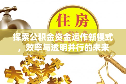 沿河探索公积金资金运作新模式，效率与透明并行的未来
