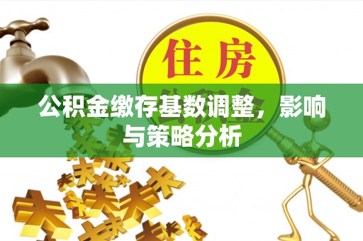 沿河公积金缴存基数调整，影响与策略分析
