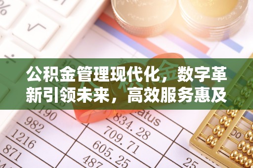 沿河公积金管理现代化，数字革新引领未来，高效服务惠及民生