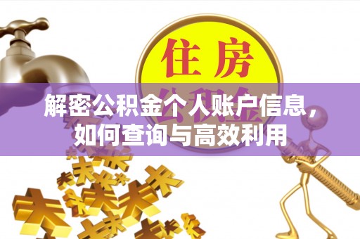 沿河解密公积金个人账户信息，如何查询与高效利用