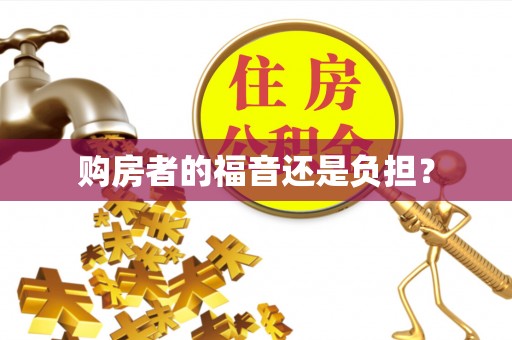 沿河购房者的福音还是负担？