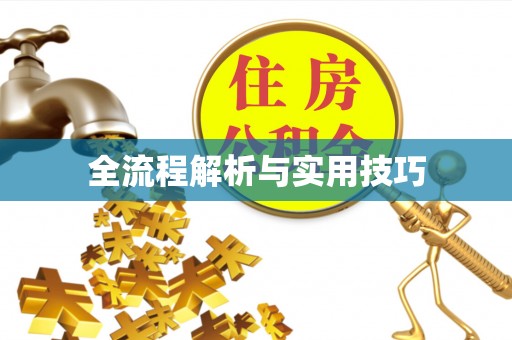 沿河全流程解析与实用技巧