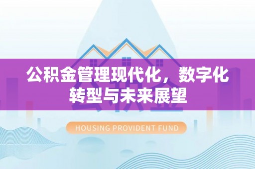 沿河公积金管理现代化，数字化转型与未来展望