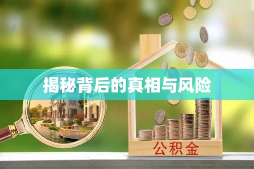 沿河揭秘背后的真相与风险