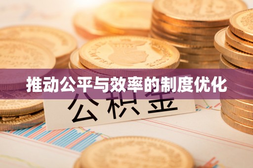 沿河推动公平与效率的制度优化