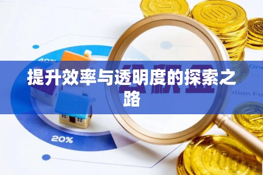 沿河提升效率与透明度的探索之路