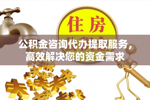 沿河公积金咨询代办提取服务，高效解决您的资金需求