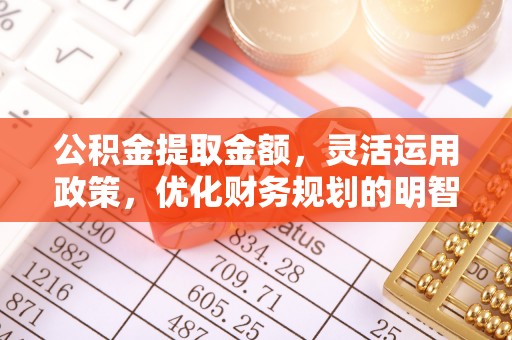 沿河公积金提取金额，灵活运用政策，优化财务规划的明智选择