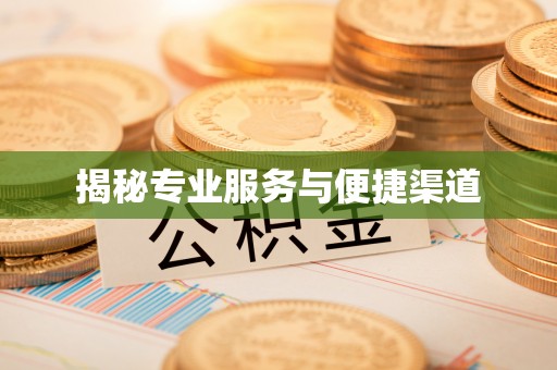 沿河揭秘专业服务与便捷渠道