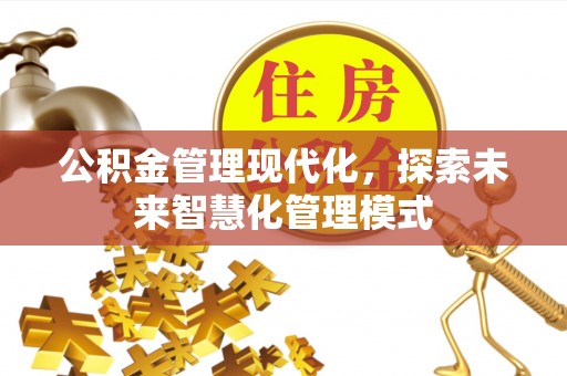 沿河公积金管理现代化，探索未来智慧化管理模式