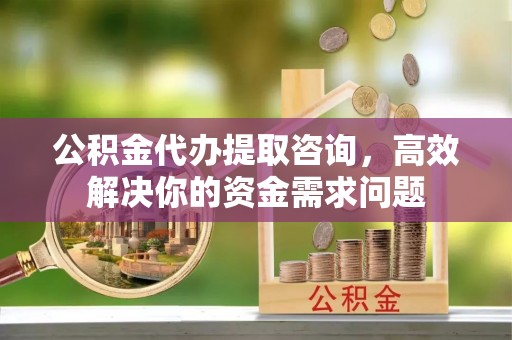 沿河公积金代办提取咨询，高效解决你的资金需求问题