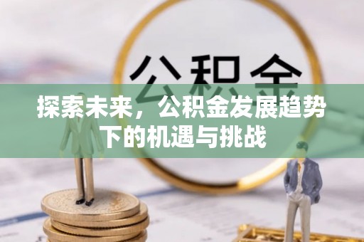 沿河探索未来，公积金发展趋势下的机遇与挑战