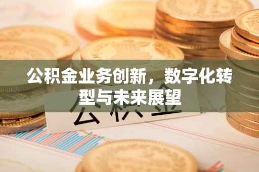 沿河公积金业务创新，数字化转型与未来展望