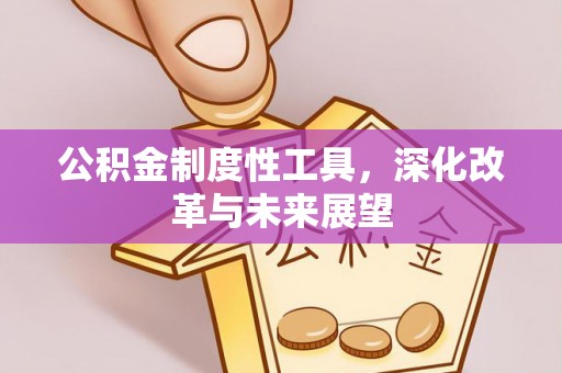 沿河公积金制度性工具，深化改革与未来展望