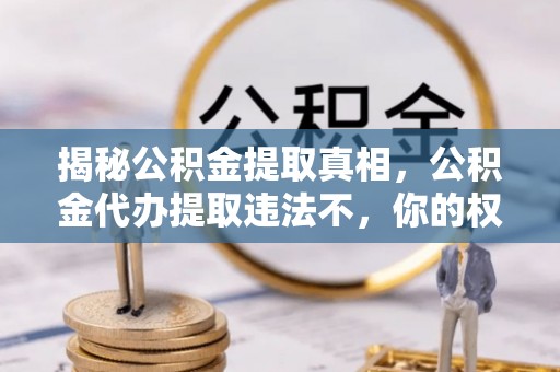 沿河揭秘公积金提取真相，公积金代办提取违法不，你的权益如何保障？