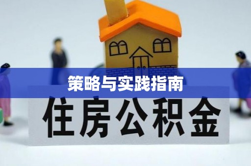 沿河策略与实践指南