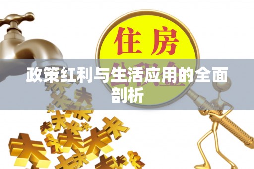 沿河政策红利与生活应用的全面剖析