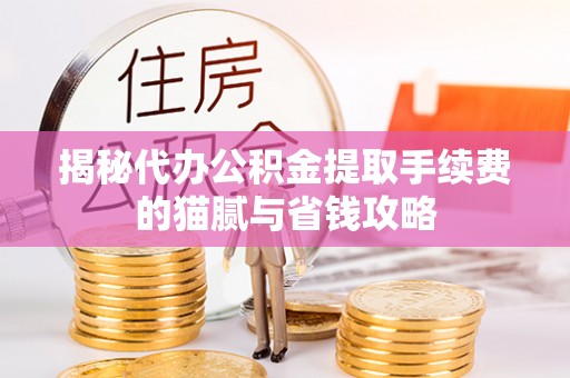 沿河揭秘代办公积金提取手续费的猫腻与省钱攻略