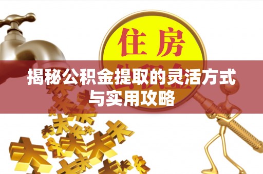 沿河揭秘公积金提取的灵活方式与实用攻略