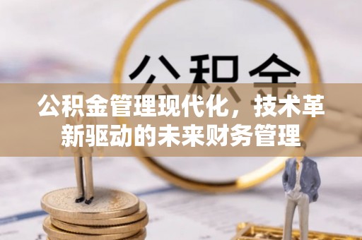 沿河公积金管理现代化，技术革新驱动的未来财务管理