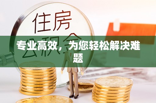 沿河专业高效，为您轻松解决难题