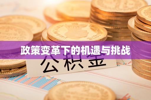 沿河政策变革下的机遇与挑战