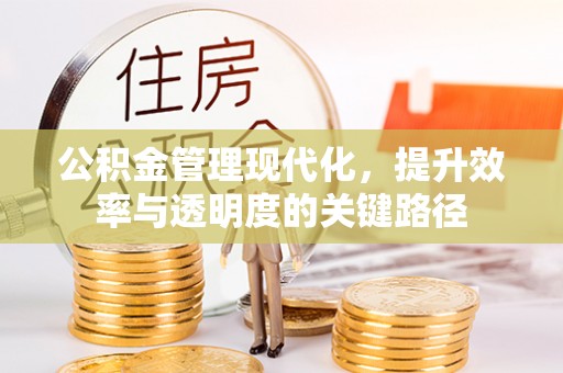 沿河公积金管理现代化，提升效率与透明度的关键路径