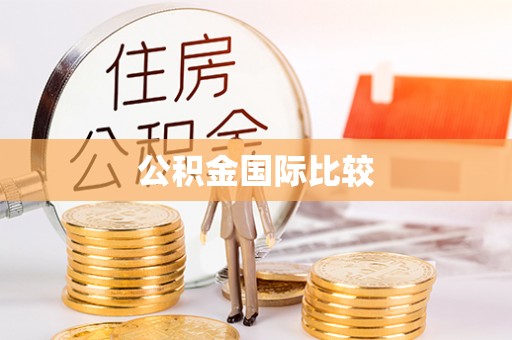 沿河公积金国际比较
