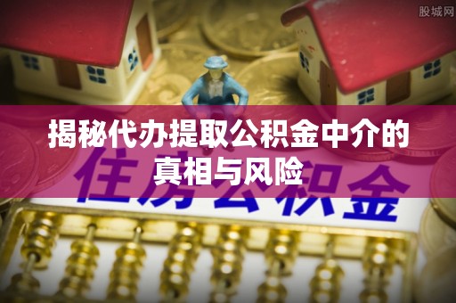 沿河揭秘代办提取公积金中介的真相与风险
