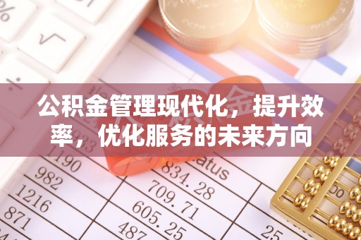沿河公积金管理现代化，提升效率，优化服务的未来方向