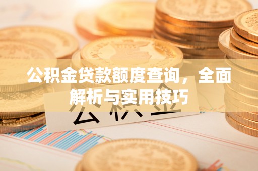 沿河公积金贷款额度查询，全面解析与实用技巧