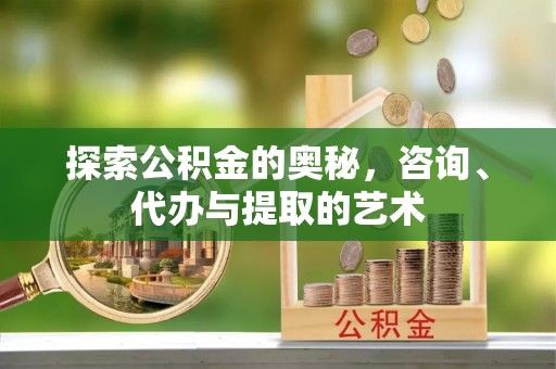 沿河探索公积金的奥秘，咨询、代办与提取的艺术