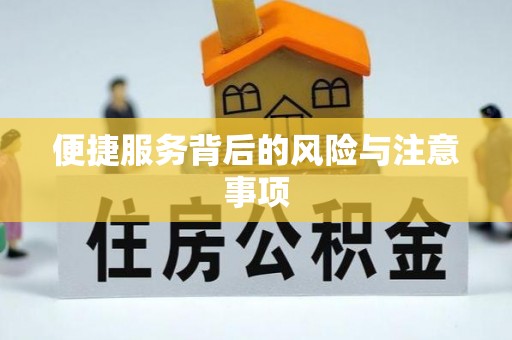 沿河便捷服务背后的风险与注意事项